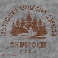 Okefenokee Georgia Wildlife Refuge Canoe Toddler Hoodie thumb 2