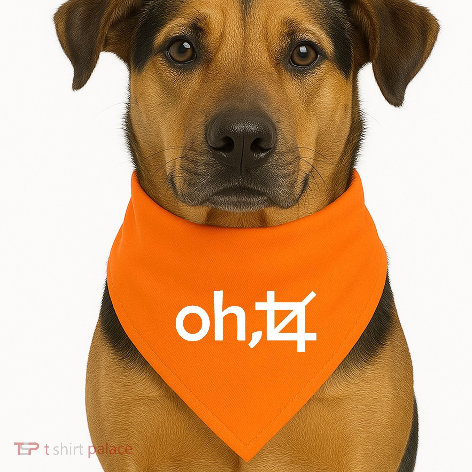 Oh Crop USA-Made Doggie Bandana