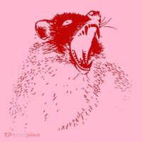 Opossum Hissing Black & Red Angry Possum Coaster thumb 2