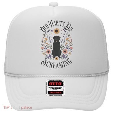 Old Habits Die Screaming Lyrics The Black Dog Ttpd Hat
