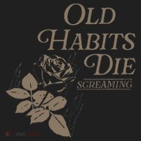 Old Habits Die Screaming Ladies Heavyweight Boxy Pullover Hoodie thumb 2