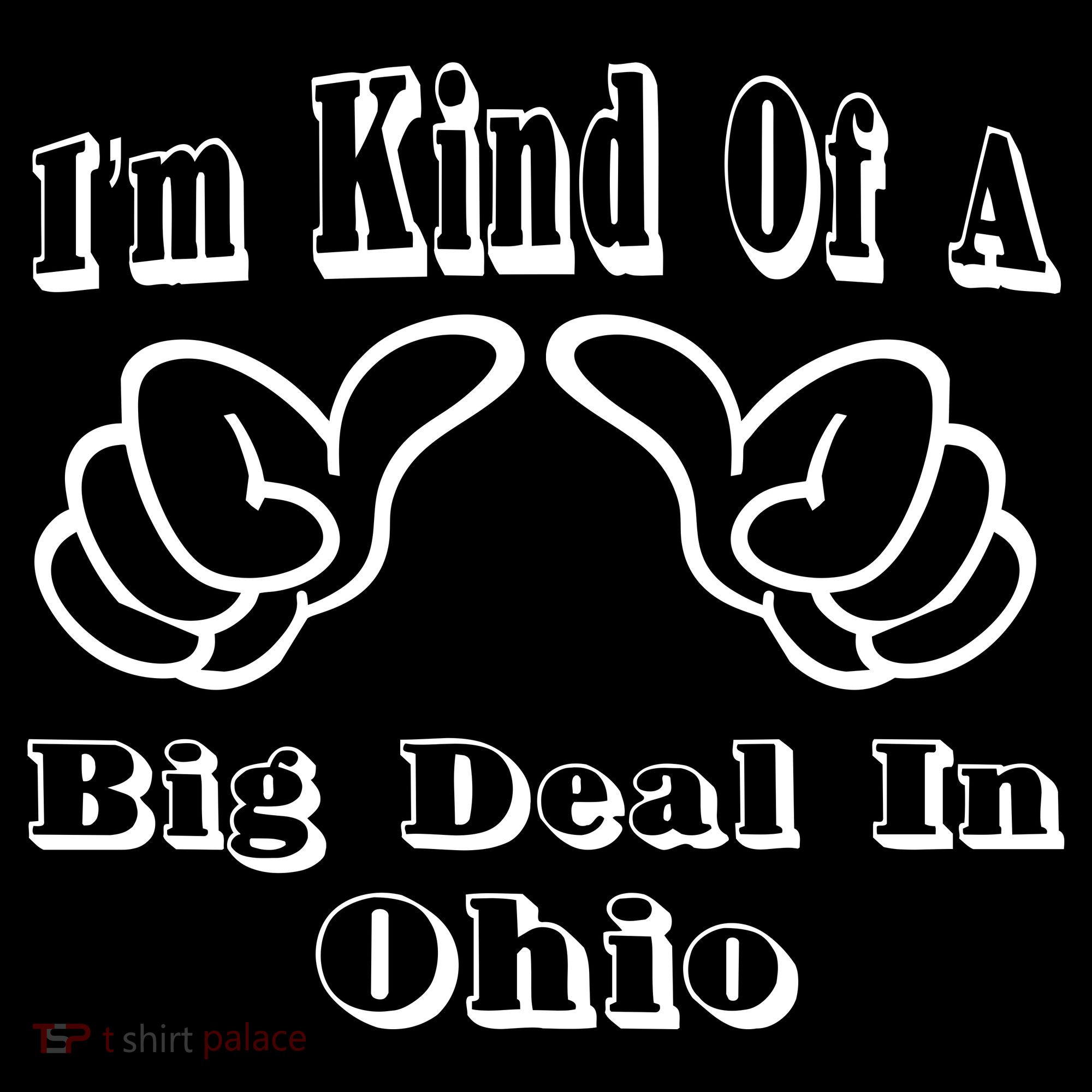 Ohio Big Deal Sweatshirt