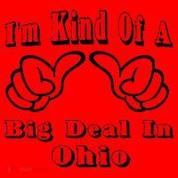 Ohio Big Deal Santa Hat thumb 1