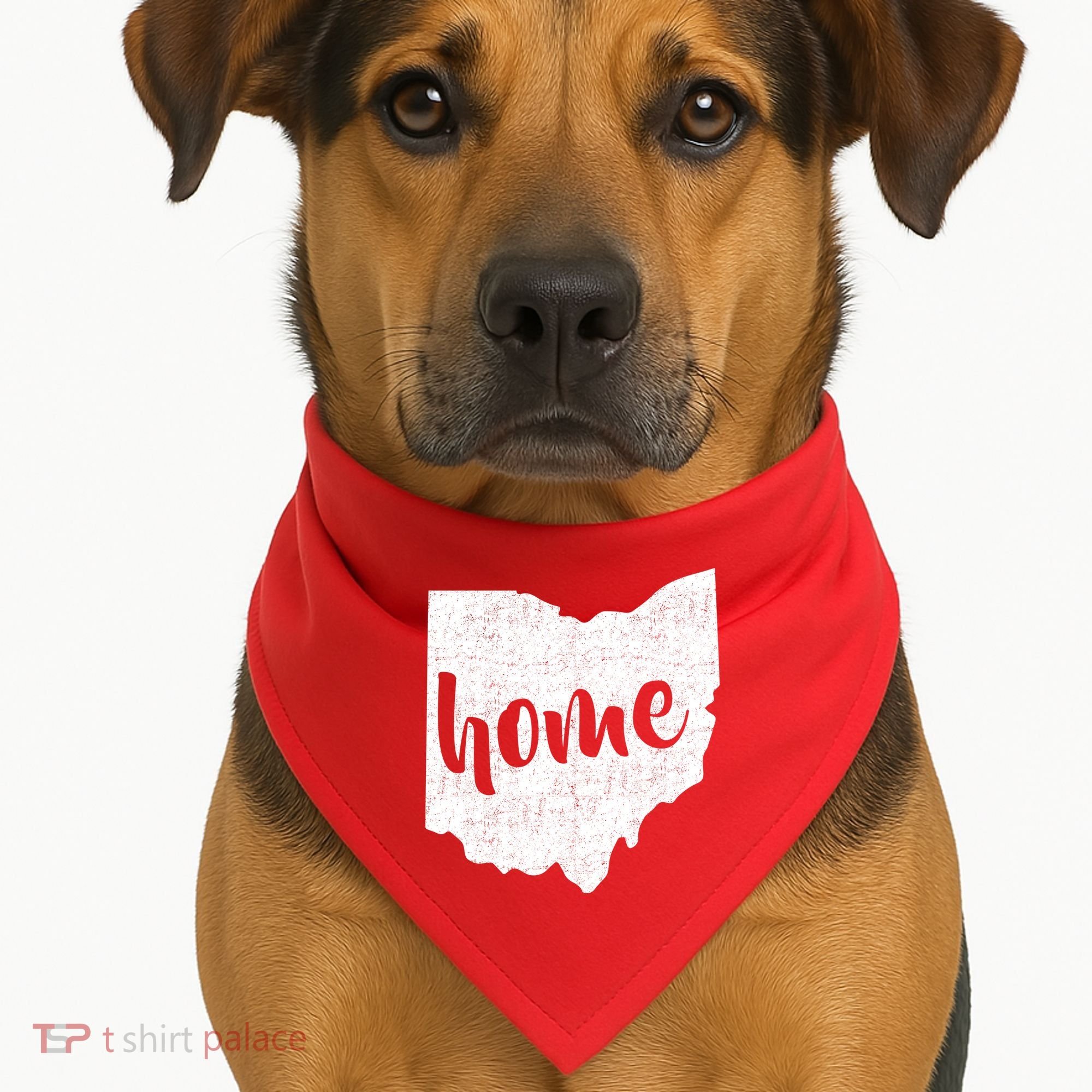 Ohio Home State USA-Made Doggie Bandana