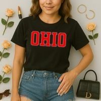 Ohio Jersey Block Logo Comfort Colors Boxy T-Shirt thumb 2