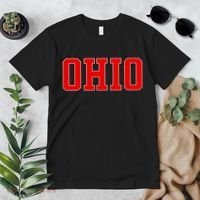 Ohio Jersey Block Logo Premium T-Shirt thumb 2