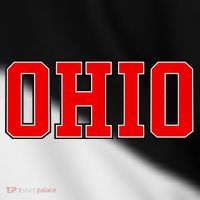 Ohio Jersey Block Logo Toddler Fine Jersey T-Shirt thumb 2