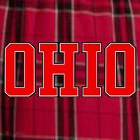 Ohio Jersey Block Logo Men's Flannel Plaid Pajama Pants thumb 2