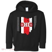 Ohio State Pride Striped Toddler Hoodie thumb 0