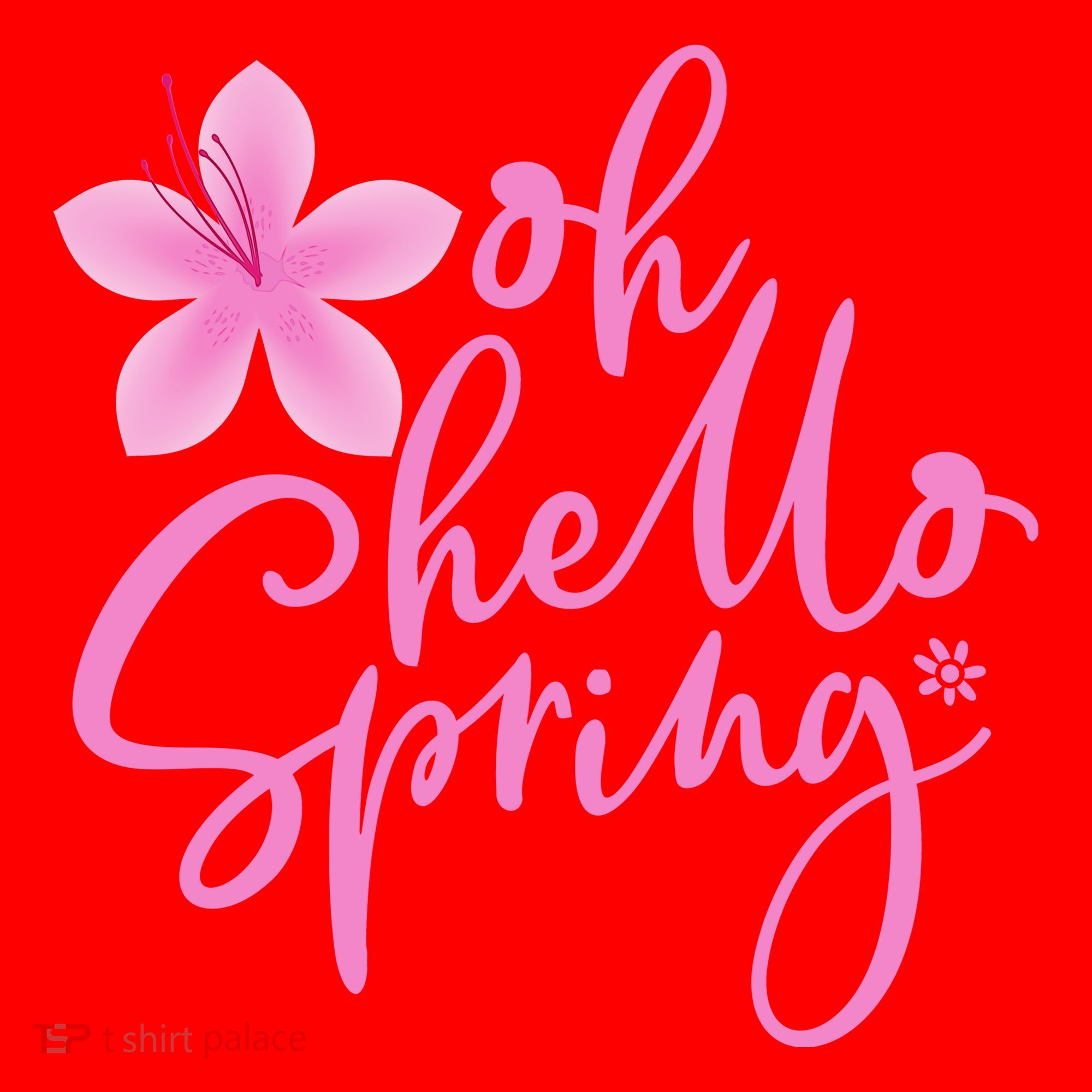 Oh Hello Spring Cute Santa Hat