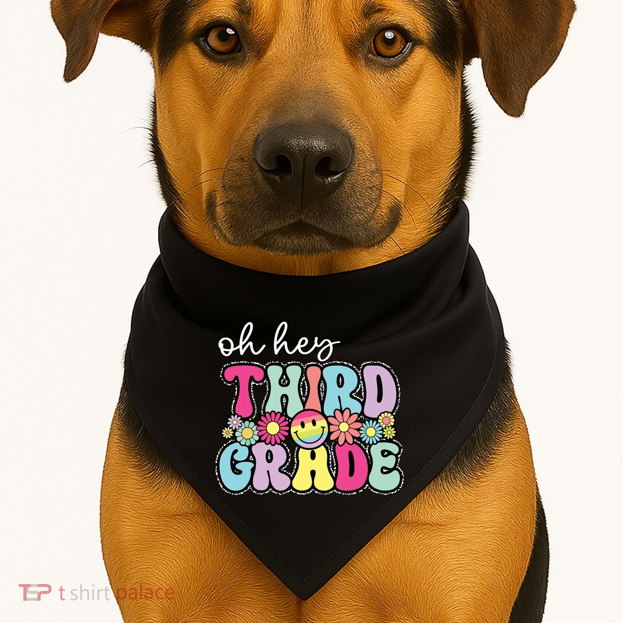 Oh Hey Third Grade Boy Girl Teacher Back To School 3rd Grade USA-Made Doggie Bandana