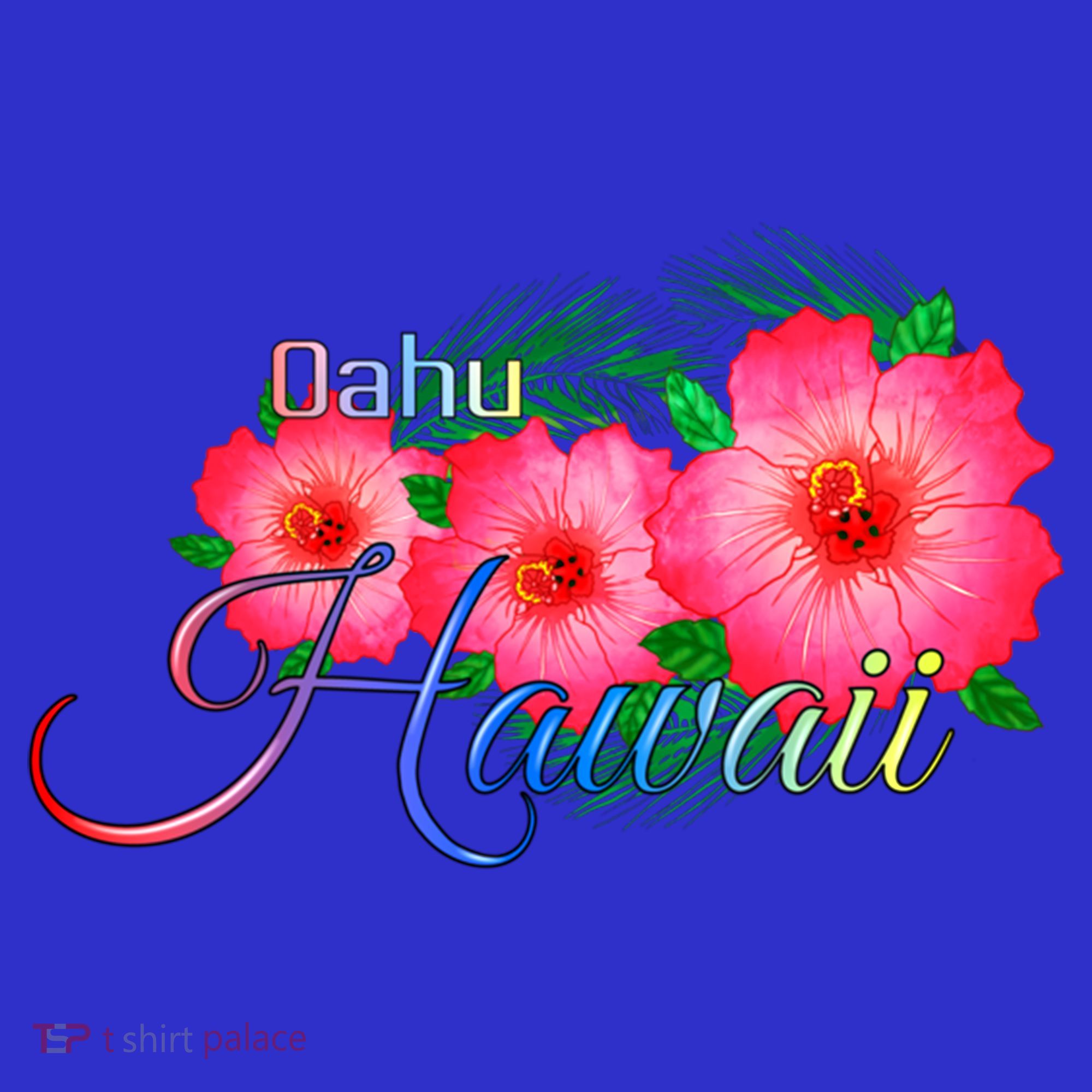 Oahu Hawaii Tropical Flowers Family Vacation Gift Visor
