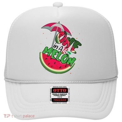 One In A Melon Adorable Cute Fun Summer Watermelon Gift Tee Hat