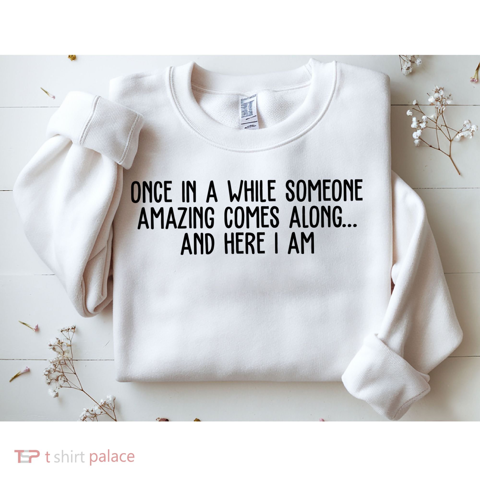Once In A While Someone Amazing Comes Along And Here I Am Funny Sweatshirt