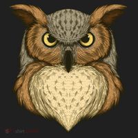 Owl Illustration Tumbler thumb 3