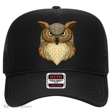 Owl Illustration Hat