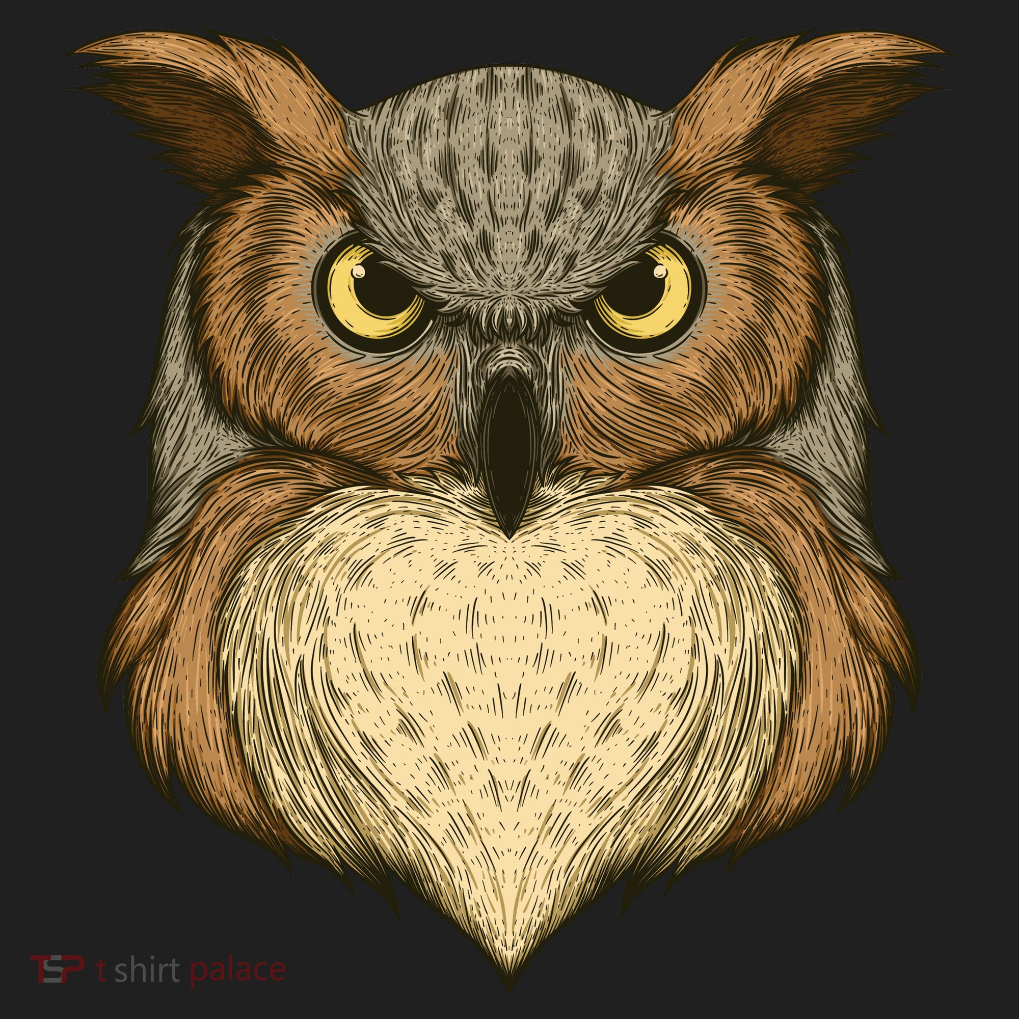 Owl Illustration Hat