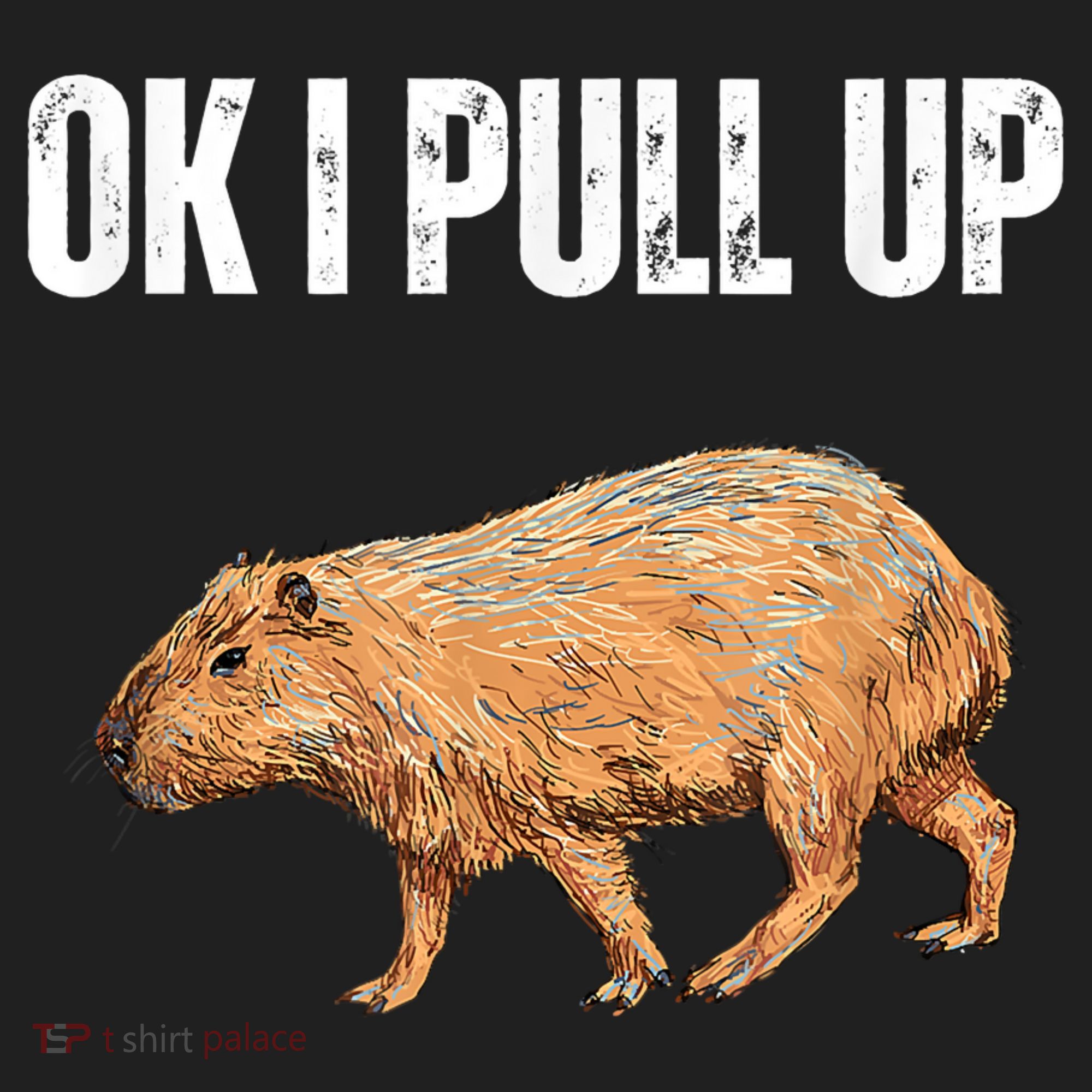Ok I Pull Up Capybara Shirt Funny Capybara Meme Ok I Pull Up Women's Sweatshirt