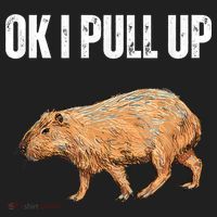 Ok I Pull Up Capybara Shirt Funny Capybara Meme Ok I Pull Up Beanie thumb 2