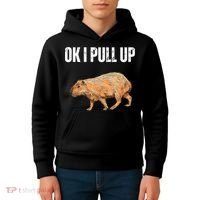 Ok I Pull Up Capybara Shirt Funny Capybara Meme Ok I Pull Up Kids Hoodie thumb 4