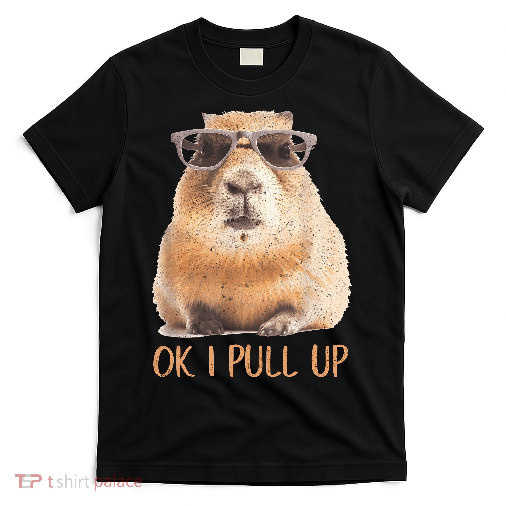 Ok I Pull Up Capybara T-Shirt