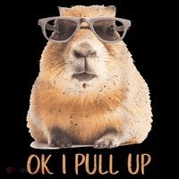 Ok I Pull Up Capybara Button thumb 1