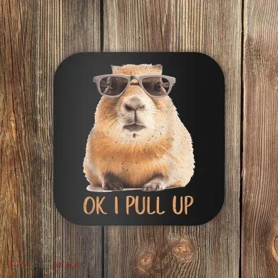 Ok I Pull Up Capybara Coaster