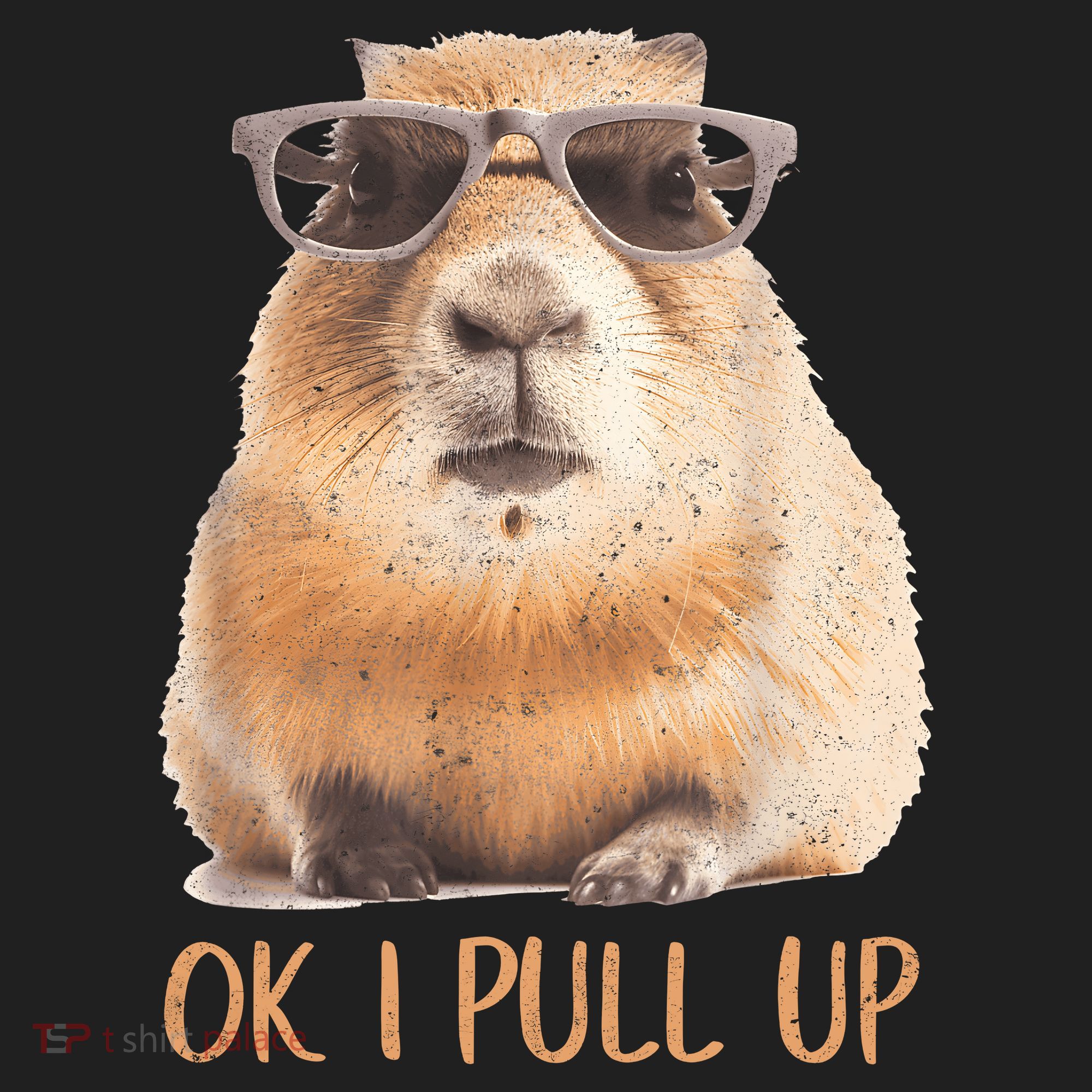 Ok I Pull Up Capybara Tumbler