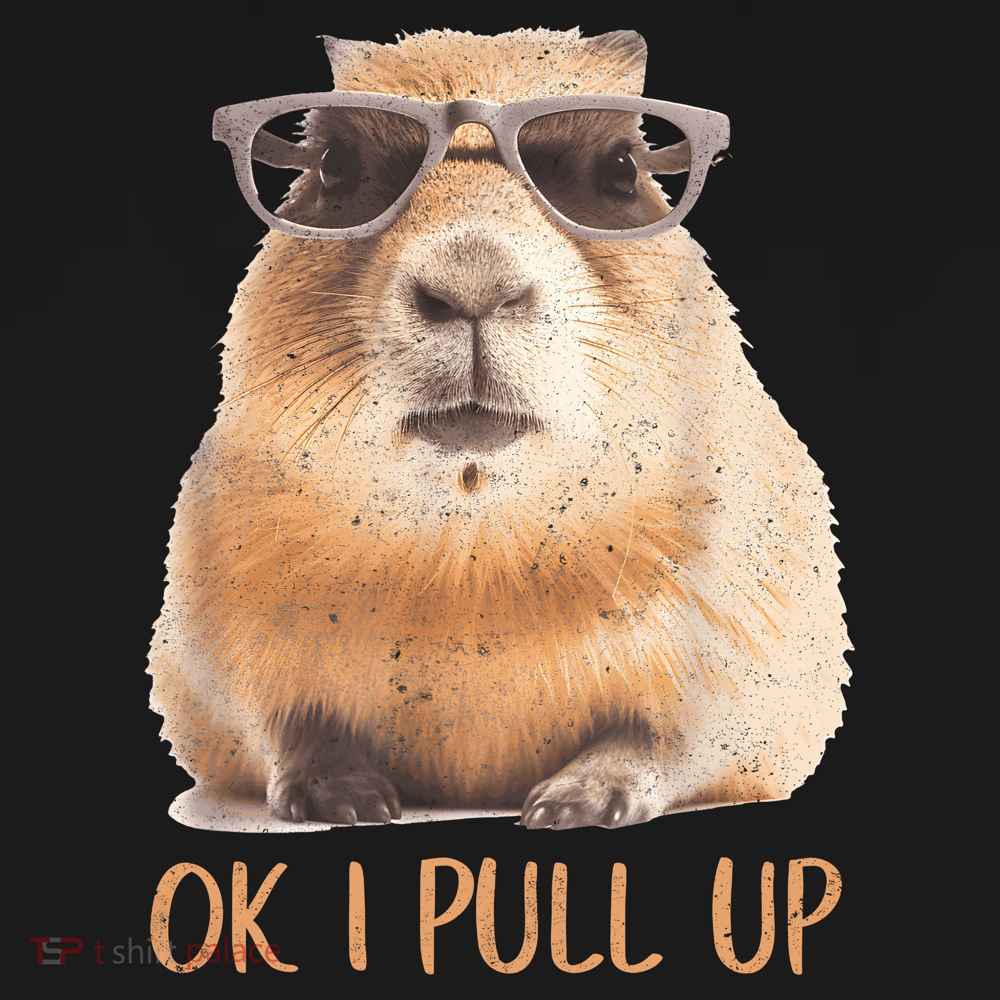 Ok I Pull Up Capybara Tank Top