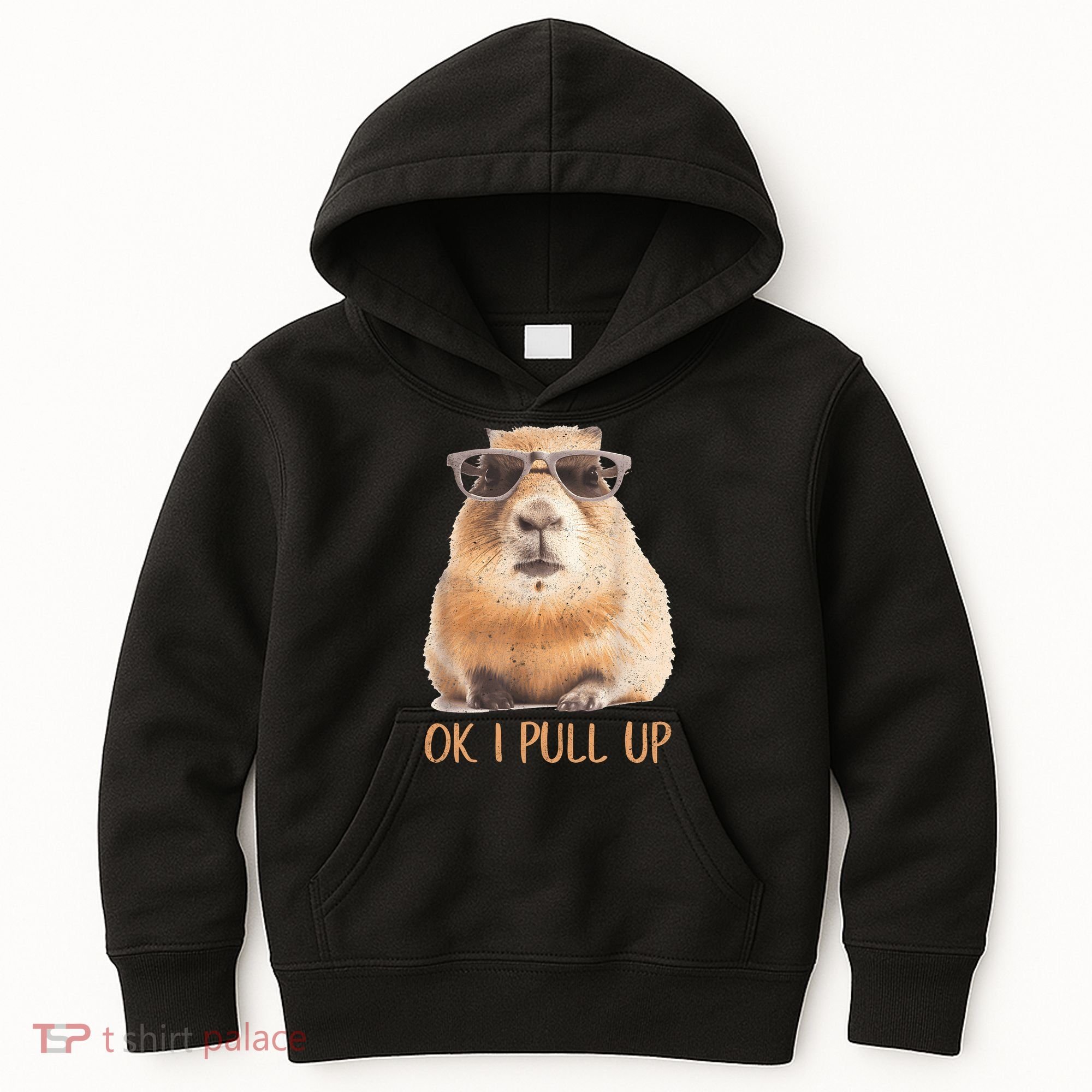 Ok I Pull Up Capybara Kids Hoodie