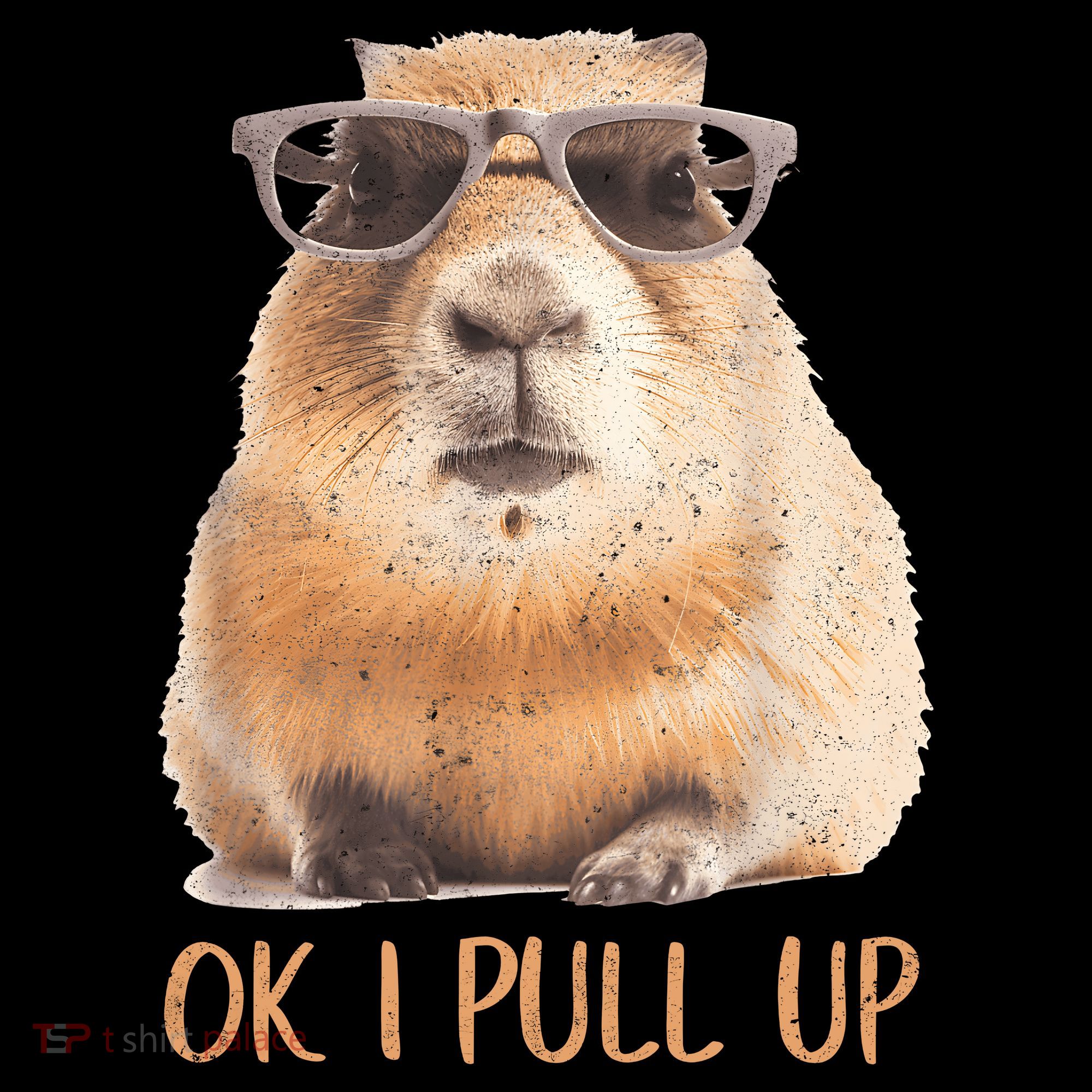 Ok I Pull Up Capybara Kids Hoodie