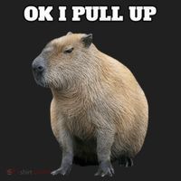 Ok I Pull Up Capybara Women's Sweatshirt thumb 2