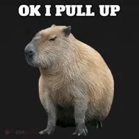 Ok I Pull Up Capybara Doggie Tank thumb 4