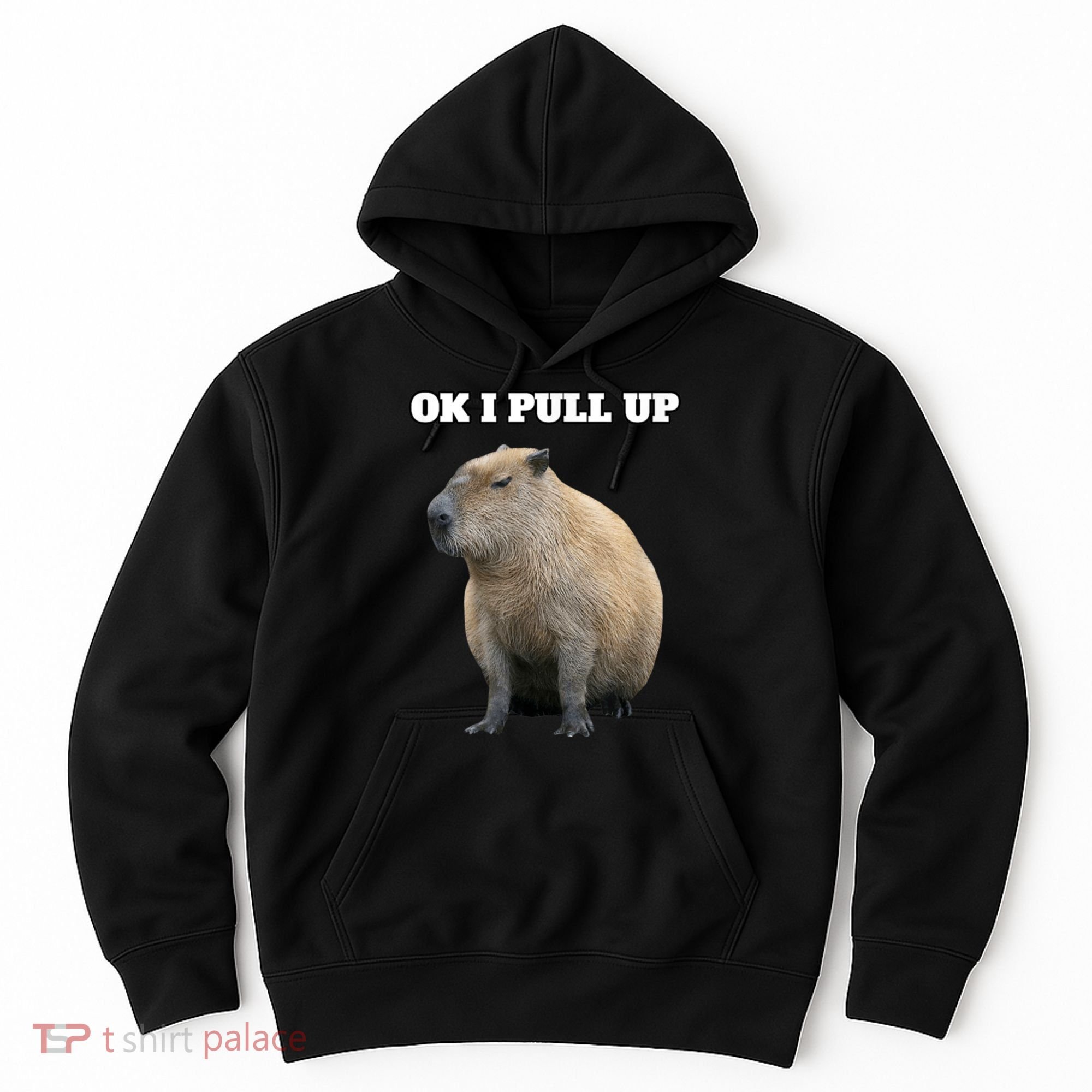 Ok I Pull Up Capybara Hoodie