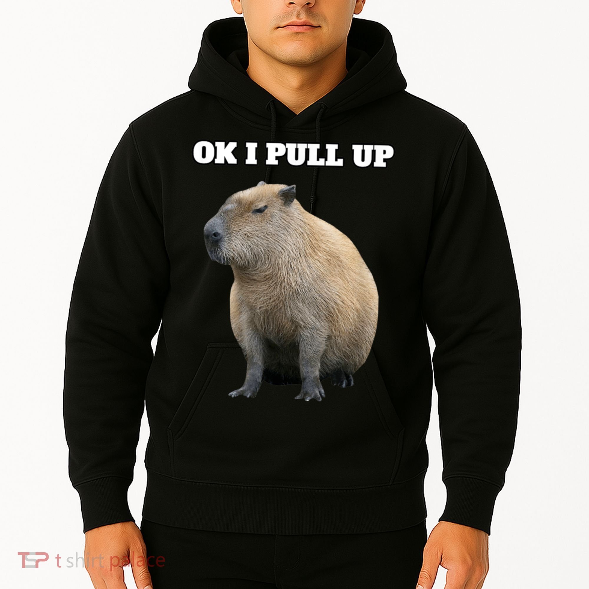 Ok I Pull Up Capybara Hoodie