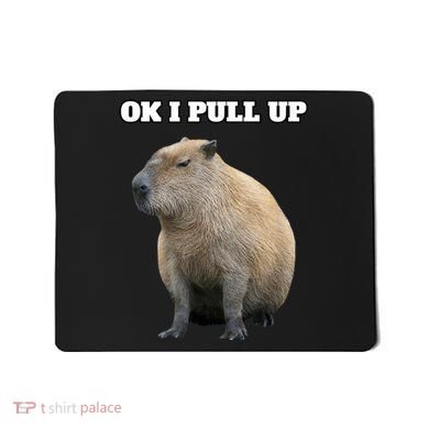 Ok I Pull Up Capybara Mousepad