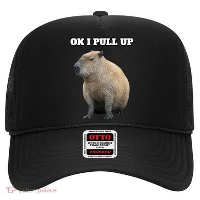Ok I Pull Up Capybara Hat