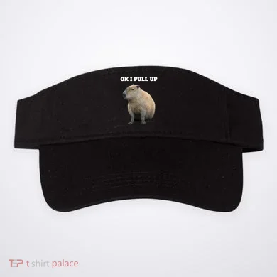 Visor