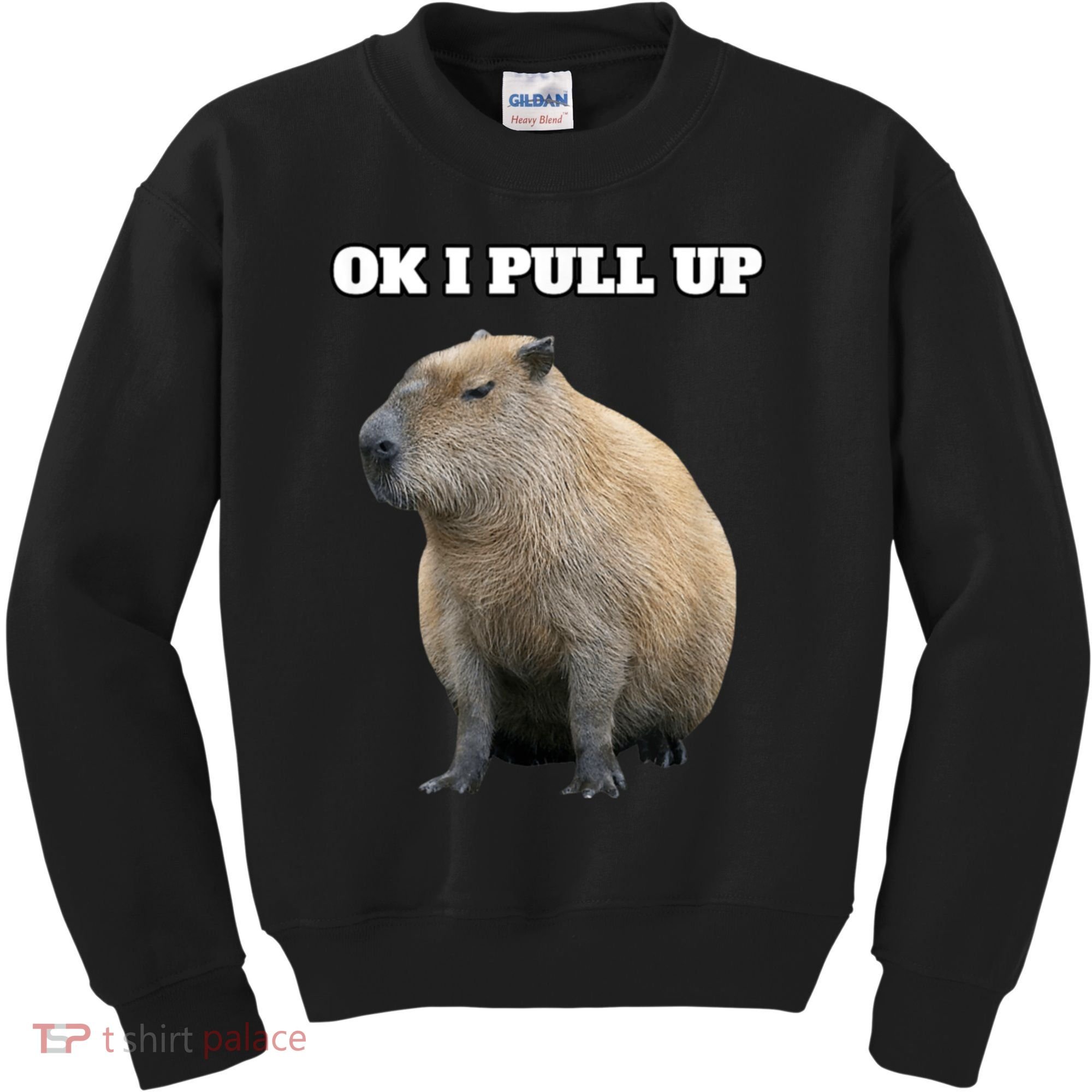 Ok I Pull Up Capybara Kids Sweatshirt
