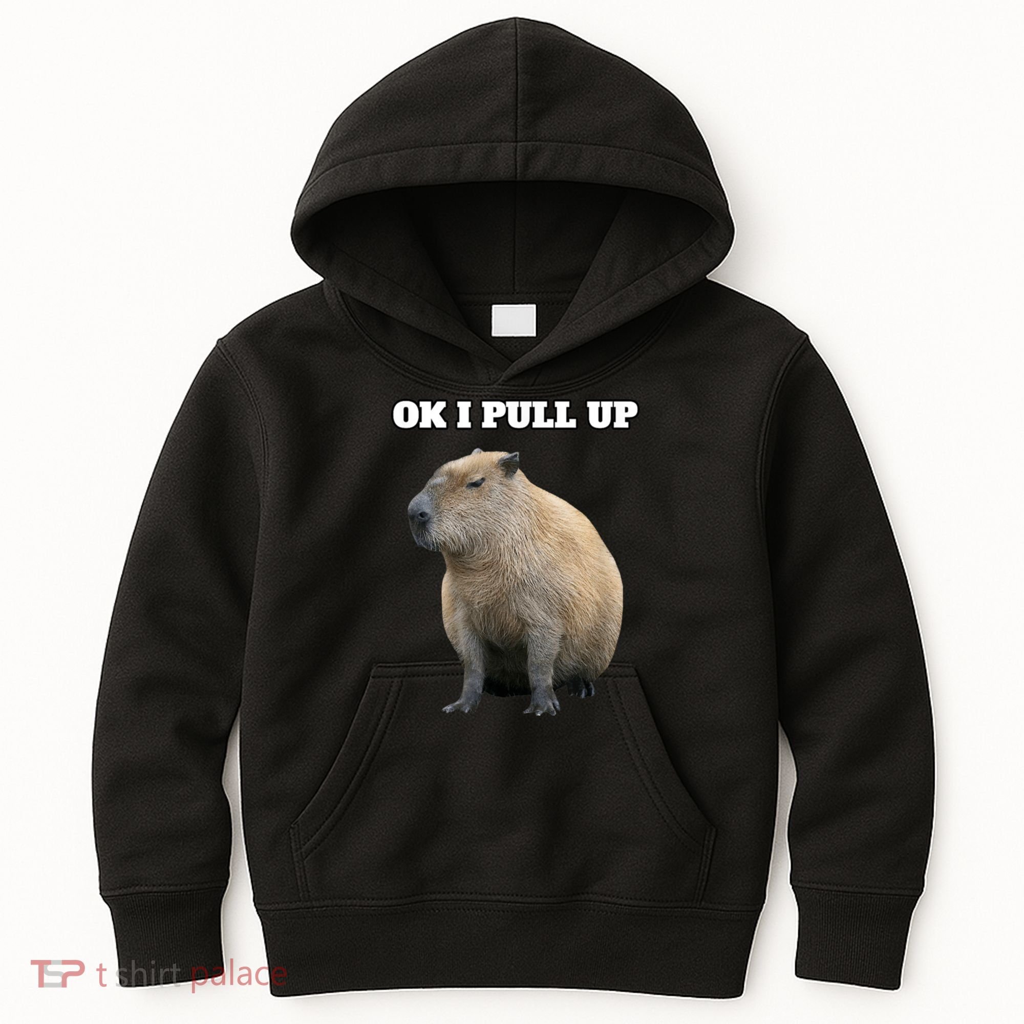 Ok I Pull Up Capybara Kids Hoodie