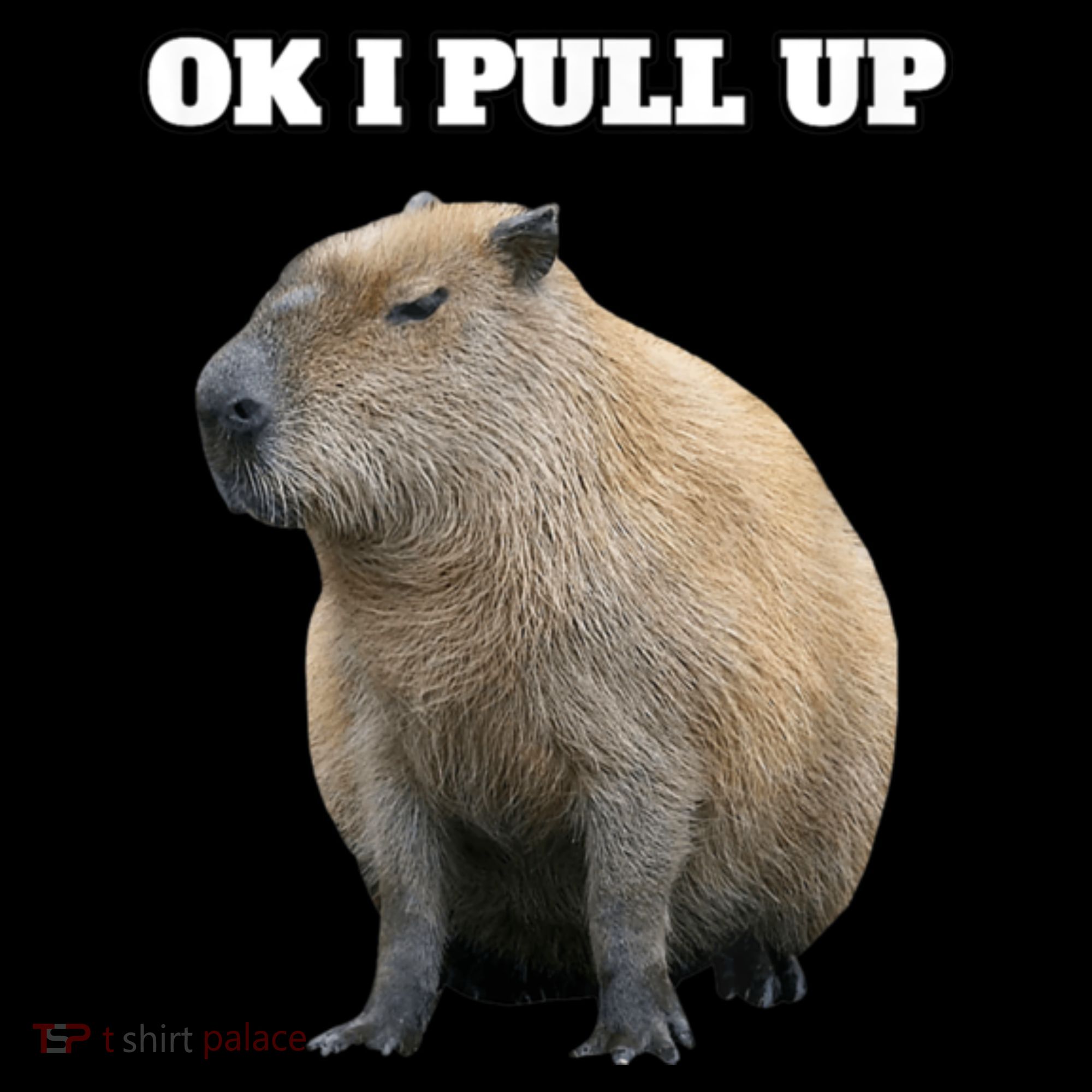 Ok I Pull Up Capybara Kids Long Sleeve Shirt
