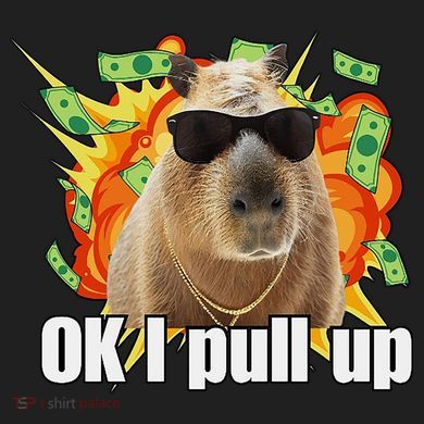 Ok I Pull Up Capybara Funny Meme Comfort Colors T-Shirt