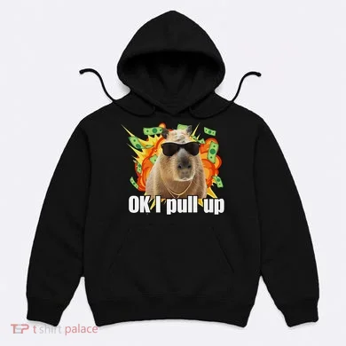 Ok I Pull Up Capybara Funny Meme Hoodie
