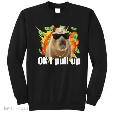 Ok I Pull Up Capybara Funny Meme Sweatshirt