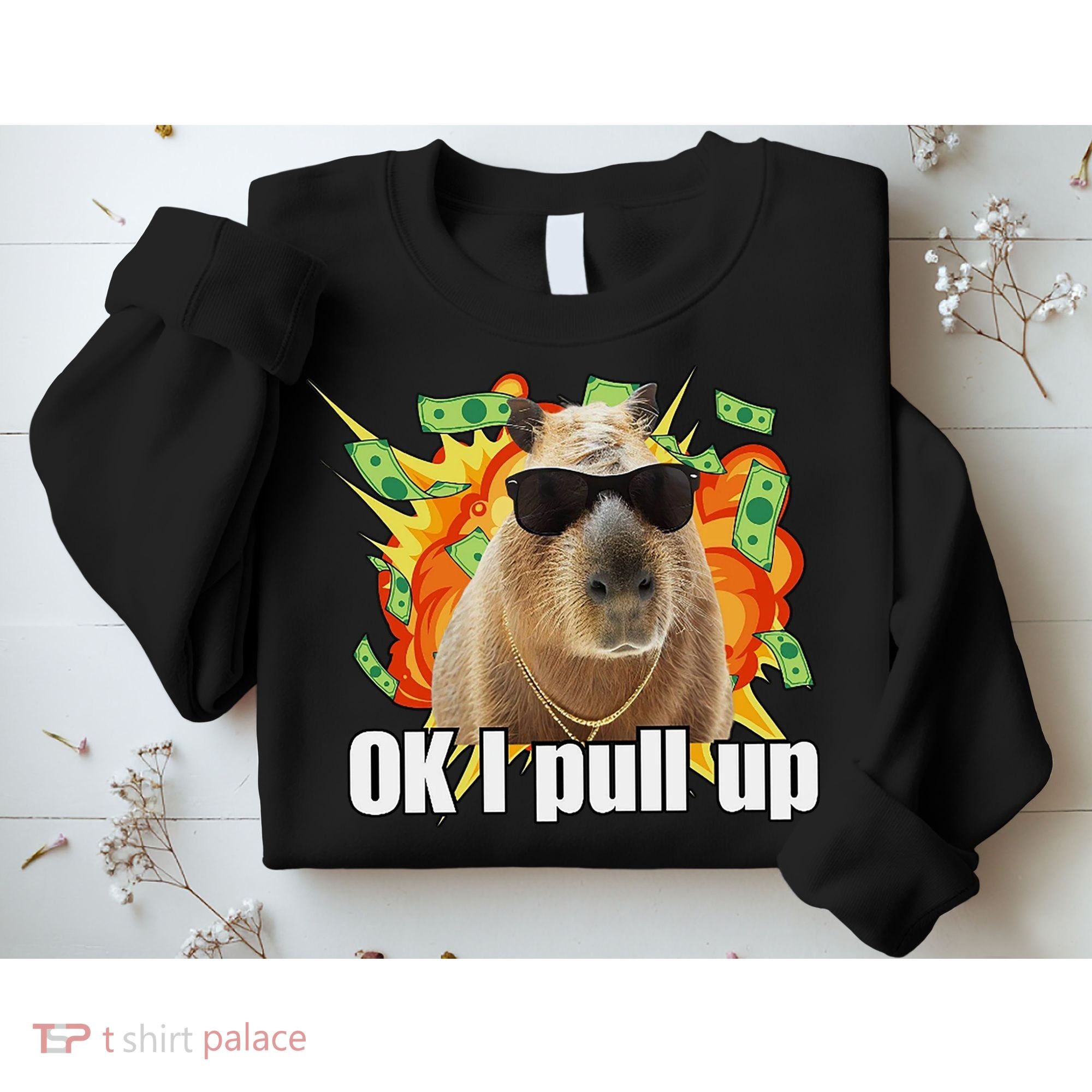 Ok I Pull Up Capybara Funny Meme Sweatshirt