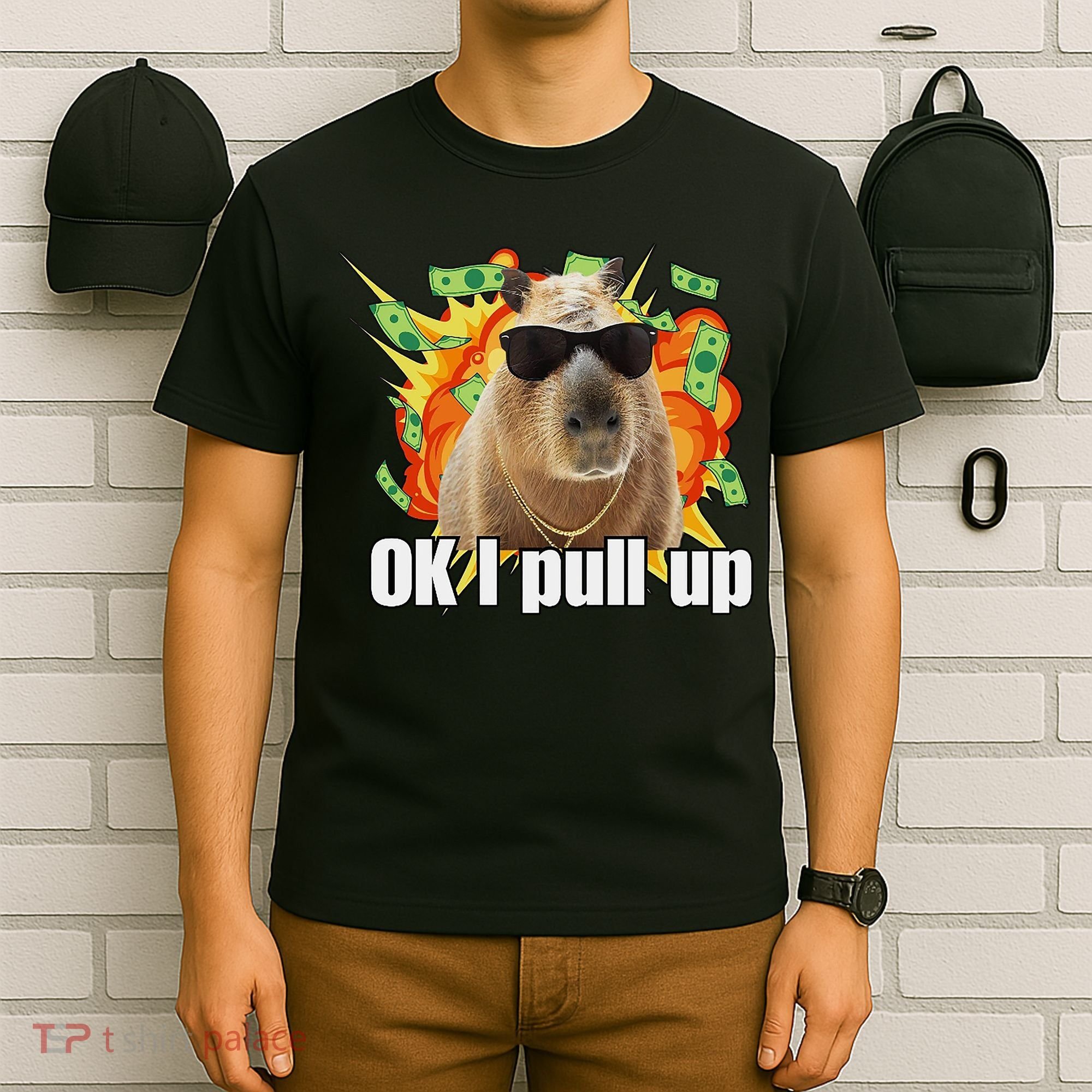 Ok I Pull Up Capybara Funny Meme T-Shirt