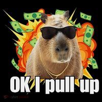 Ok I Pull Up Capybara Funny Meme Women's Hoodie thumb 2