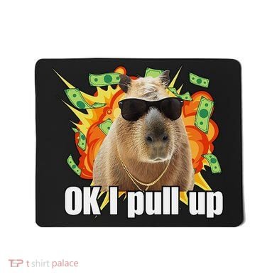 Ok I Pull Up Capybara Funny Meme Mousepad