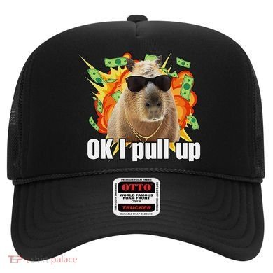 Ok I Pull Up Capybara Funny Meme Hat