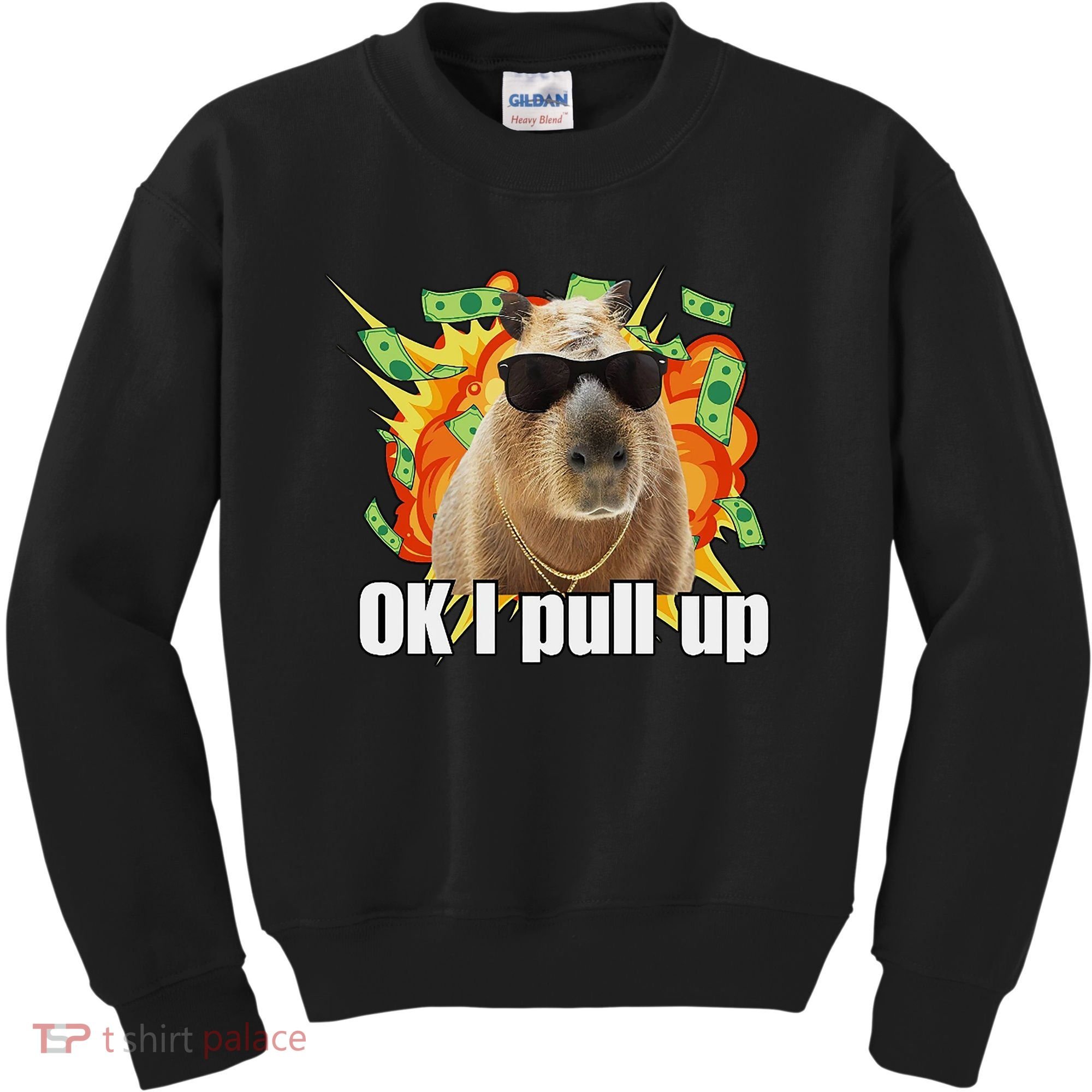 Ok I Pull Up Capybara Funny Meme Kids Sweatshirt